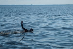 Заплыв СПб-Кронштадт - Европейский клуб по обучению плаванию «Мэвис»