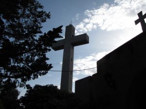 ГРЕЦИЯ 2010 ГОД — ОСТРОВ РОДОС - Европейский клуб по обучению плаванию «Мэвис»